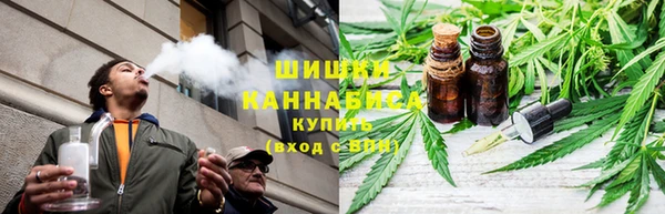 мдпв Няндома