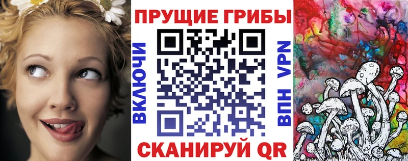 Псилоцибиновые грибы Cubensis Шарыпово