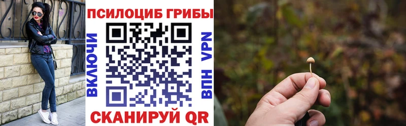Галлюциногенные грибы Psilocybine cubensis  кракен зеркало  Шарыпово 