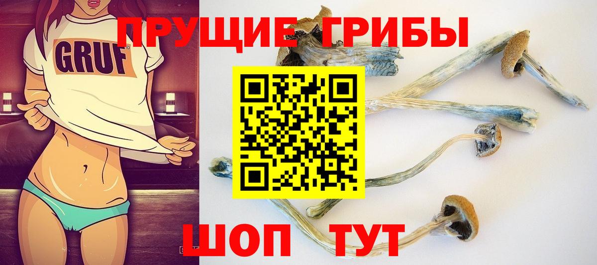 Шарыпово  Псилоцибиновые грибы Cubensis  Вход с VPN  Галлюциногенные грибы ЛСД 